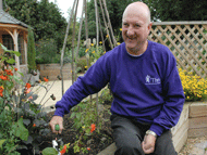 gardening in a raised bed