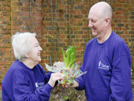 hyacinths make good presents at christmas time