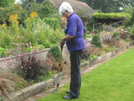 Trimming the lawn