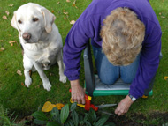 Lawn maintenance with sight loss