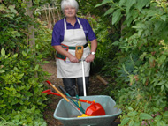 Moving things in the garden