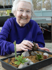 making a miniature desert garden