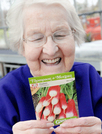 sowing radishes