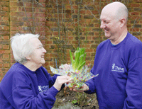 planting hyacinths for christmas