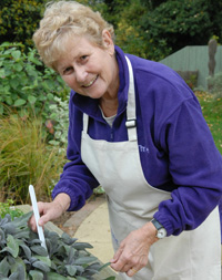 Labelling plants