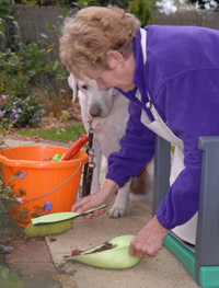 Sweep with a dustpan and brush