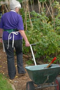 Barrow with a T shaped handle