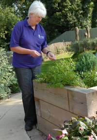 High raised bed