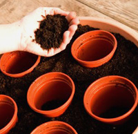 Pots used as spacers in compost