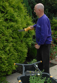 Trimming hedges