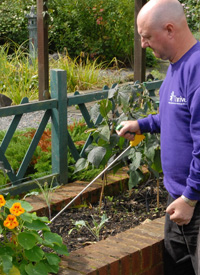 Raised brick bed