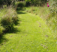 Paths mown through a lawn