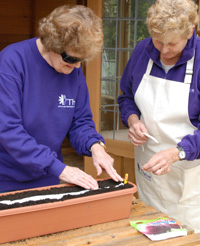 Grow vegetables in containers