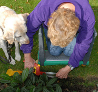 Edging the lawn