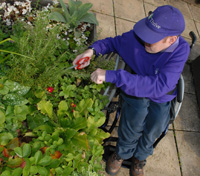 Sitting side on to a mid height raised bed