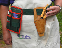 Tool belt and secateur holster