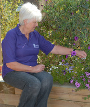 Sitting on a low raised bed