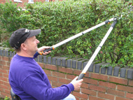 Trimming hedges