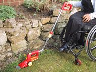 Battery powered shears with extension handle