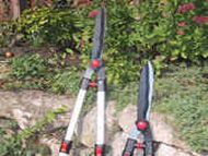 Lightweight telescopic hedge shears