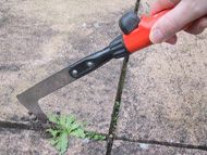 Patio weeder