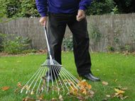 Sweeping and Raking