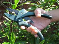 Secateurs