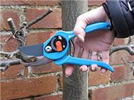 Variable size secateurs