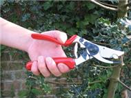 Left-handed secateurs