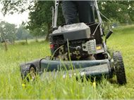 mowing and lawn maintenance