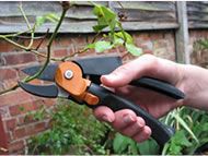 Pruning tools