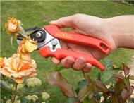 Cut and hold secateurs