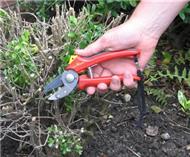 Comfort secateurs