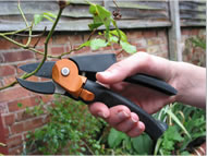 Power lever and geared secateurs