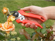 cut and grip secateurs