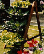 Vegetable ladder