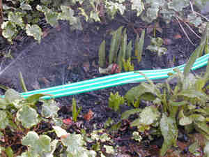 sprinkler hose